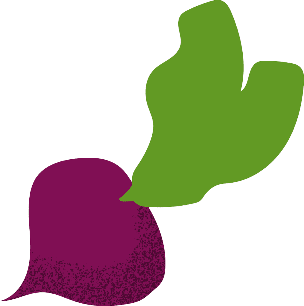 A simple, stylized illustration of a beet with a purple root and two large, green leaves against a light background. The beet root has a textured pattern near the bottom.
