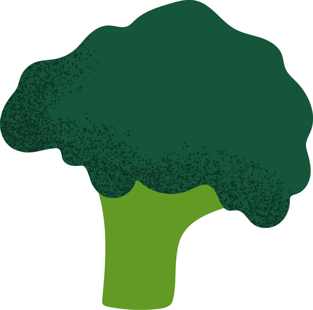 Illustration of a broccoli floret with a thick light green stem and a bushy, textured dark green top, depicted in a simple, cartoon-like style.